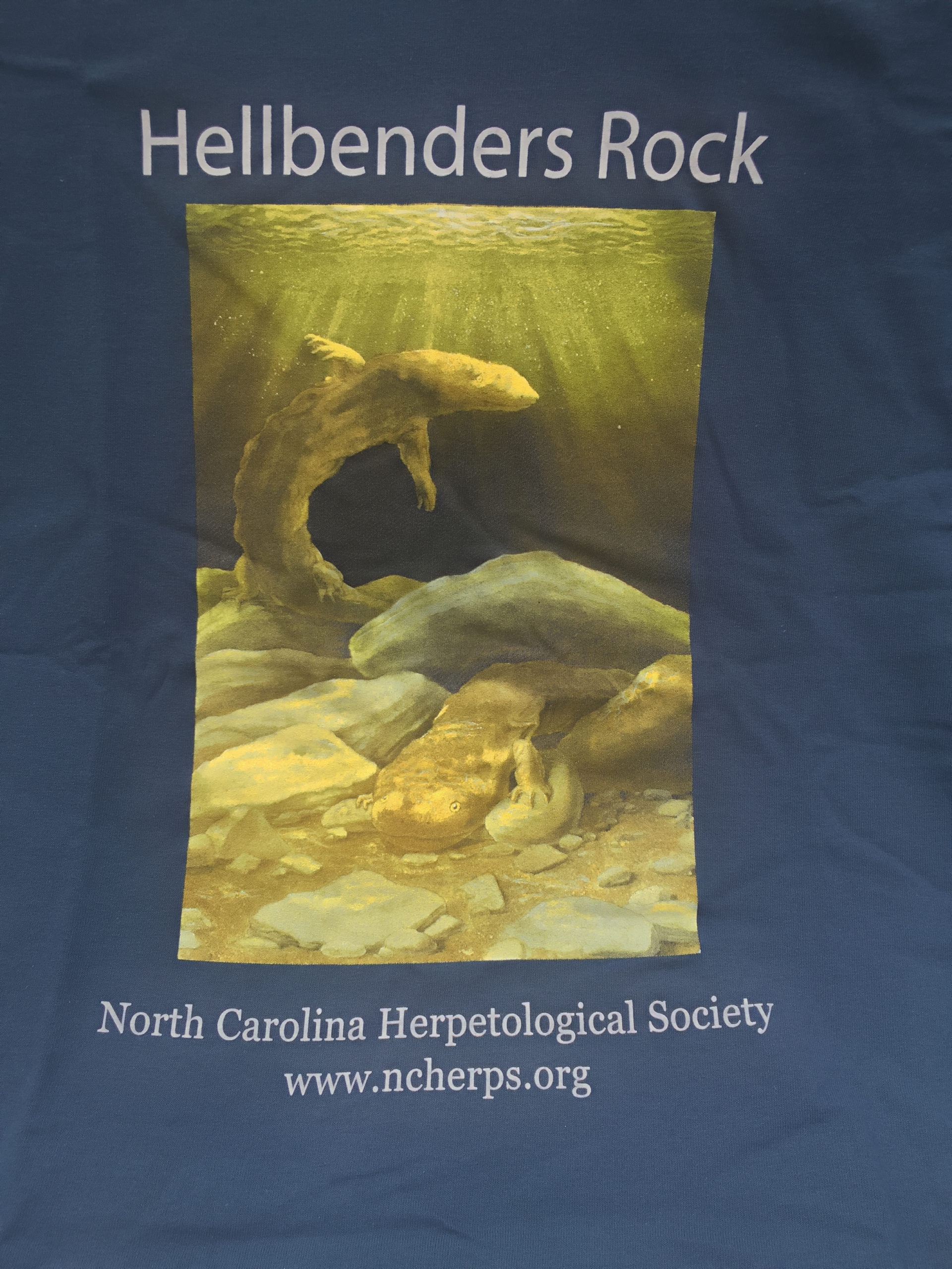 SALE Project Bog Turtle T-Shirt – Youth/Ladies – North Carolina
